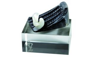 玉工如蟲蛀鼠咬