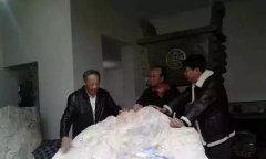 緬甸出土超大紫羅蘭原石